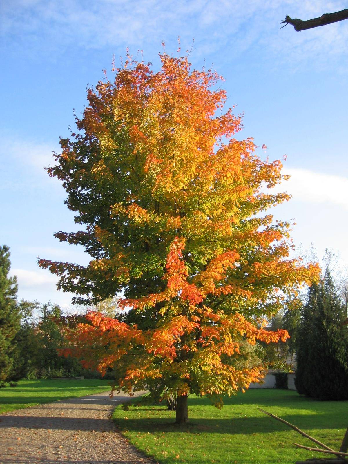 Un lieu paisible et propice à la détente Obernai 11